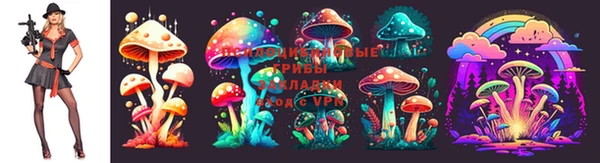 герыч Магадан