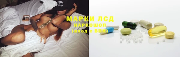 ПСИЛОЦИБИНОВЫЕ ГРИБЫ Баксан