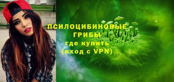 твердый Аркадак