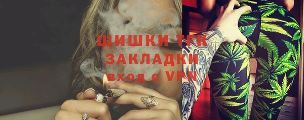 ПСИЛОЦИБИНОВЫЕ ГРИБЫ Баксан